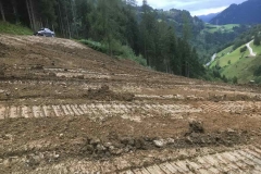 2017-BVH-Höller-Mitteruntersberg5