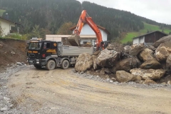 2017-BVH-Hofstadl-Wagrain-Fa.-Aster10