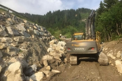 2017-BVH-Kleinarl-WLV6