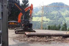 2017-BVH-Shuttleberg-Kleinarl7