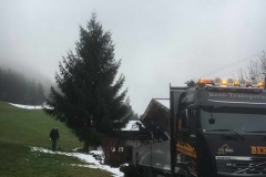 2017-Christbaumtransport-Weissacher2