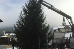 2017-Christbaumtransport-Weissacher3