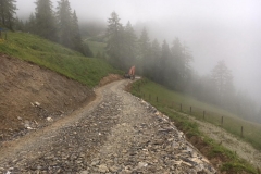 2018-BVH-Wanderweg-Hachau12
