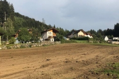 2018-BVH-Zehenthof-Eva06