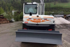 2019-neue-Raupenbagger-Takeuchi-TB290_1