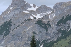 8ecf63c7-3459-4654-8671-ca1a686f29f2