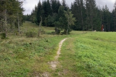 414682ee-d486-4cf5-8184-0a4375a14a4d