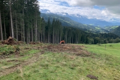 5fb3a7ce-911a-4ce0-b161-ddfbfdbc252d